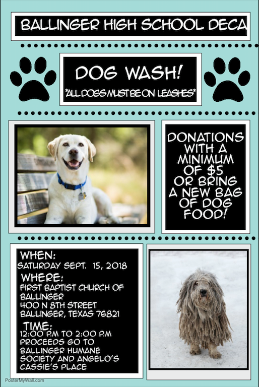 DECA Dog Wash